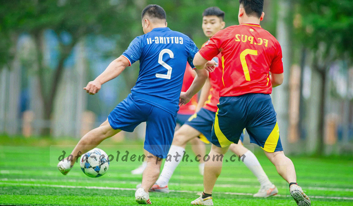四组权益条目汇总到对照表的结构信息图